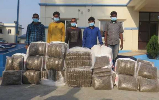 २३४ किलो गाँजासहित पाँचजना पक्राउ